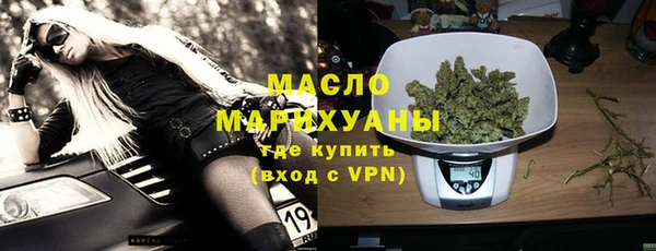 индика Арсеньев
