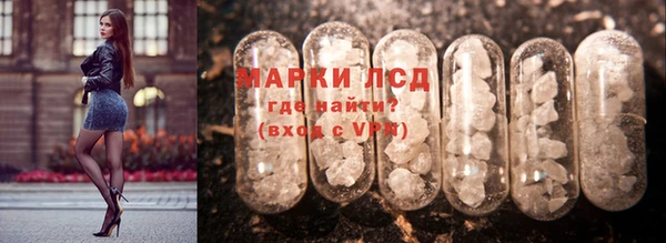 индика Арсеньев