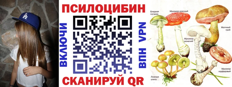 Купить закладки  Асбест  Галлюциногенные грибы Cubensis 